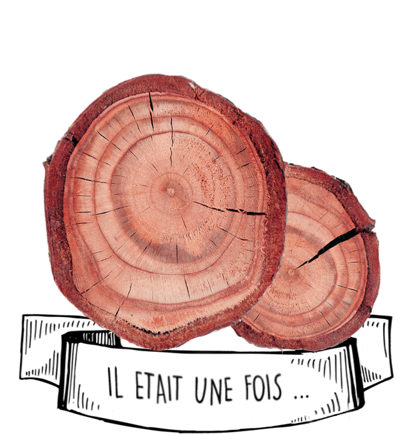 Huile essentielle de bois de rose : propriétés et bienfaits