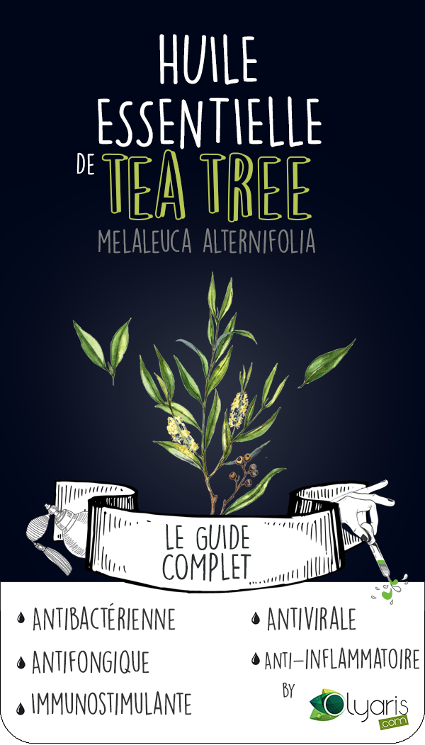 L'huile essentielle de Tea Tree : une alliée contre les boutons ! – Titisse  Biscus