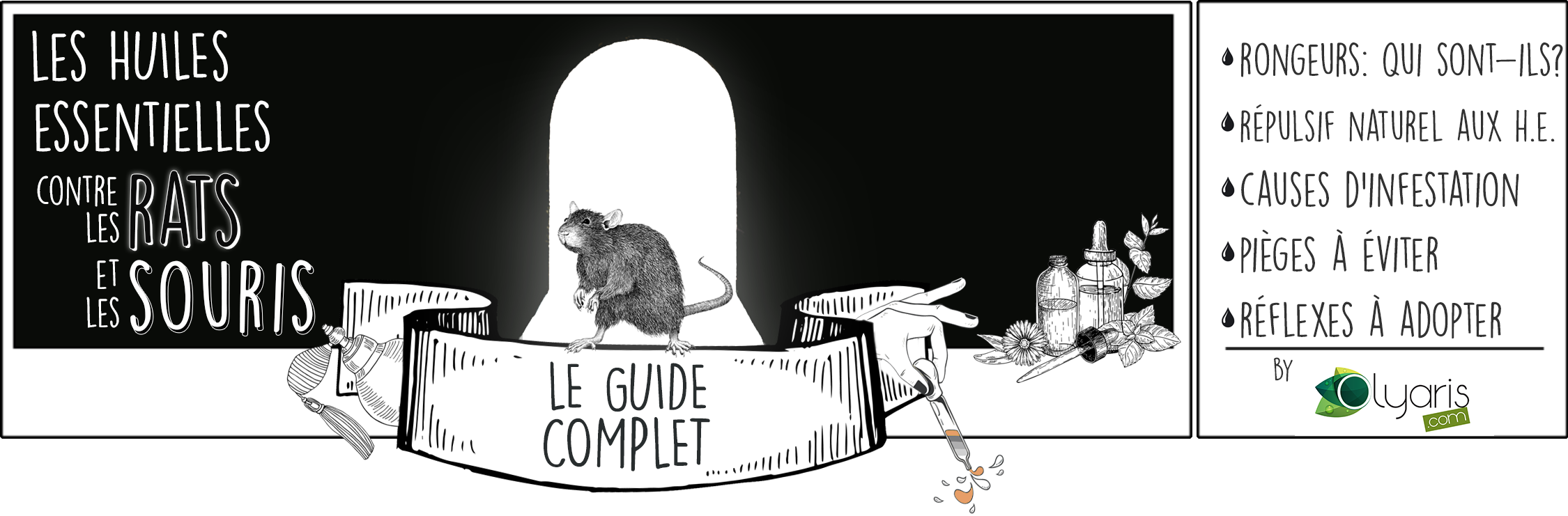 Répulsif Anti-Rats et Souris : Le Pack d'Huiles Essentielles Souratis+