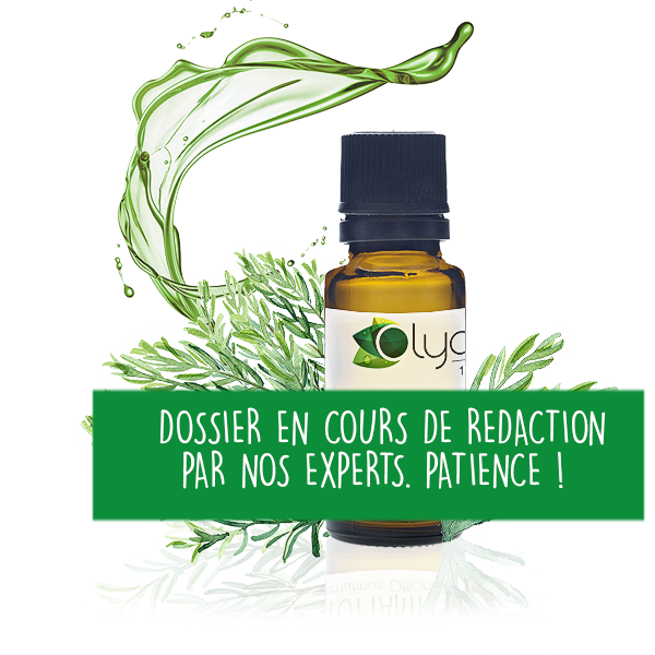 Répulsif blattes huiles essentielles